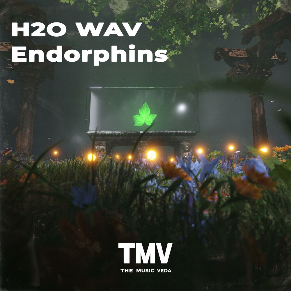 Picture of Endorphins