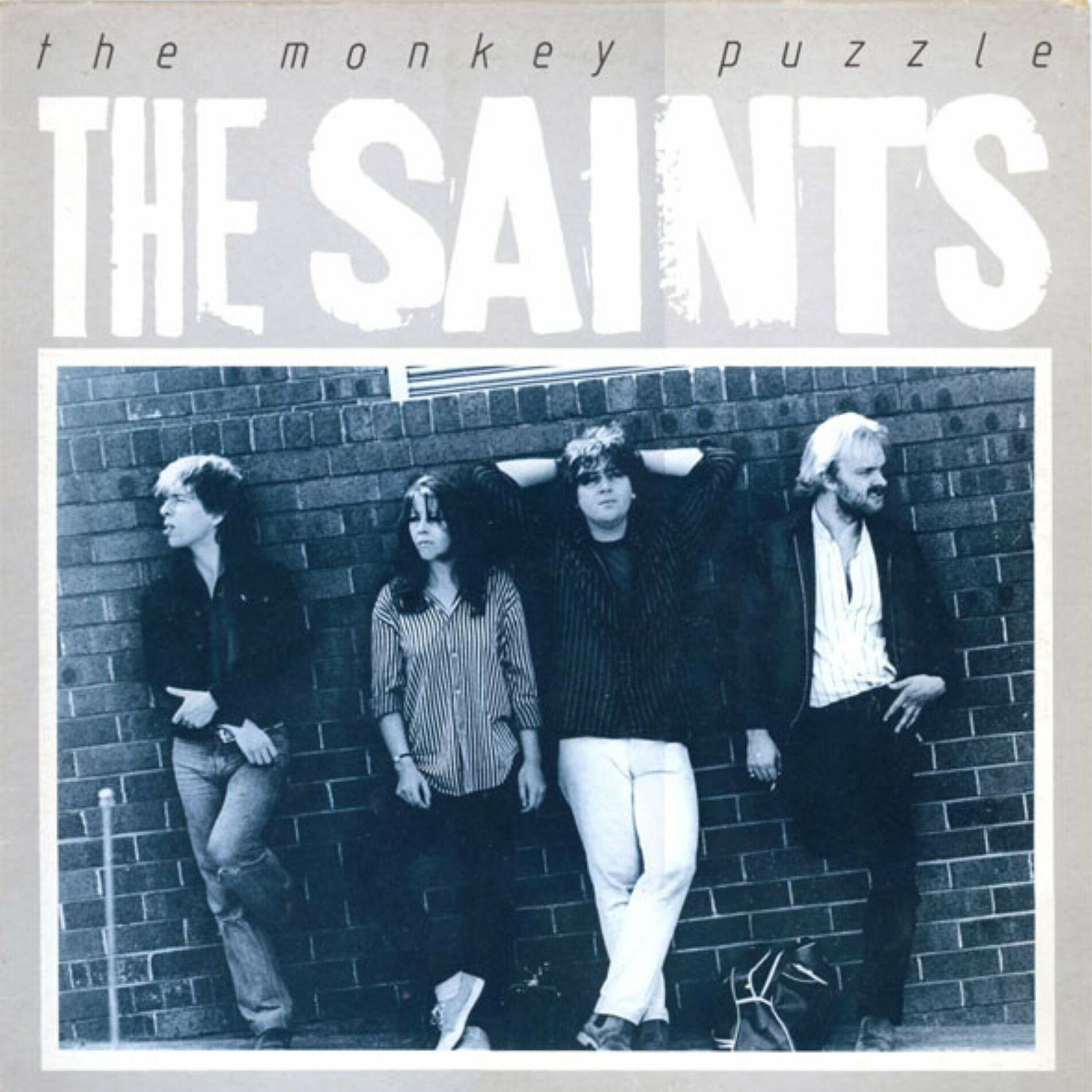 Album cover of The Monkey Puzzle
