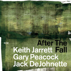 Cover of After The Fall (Live)