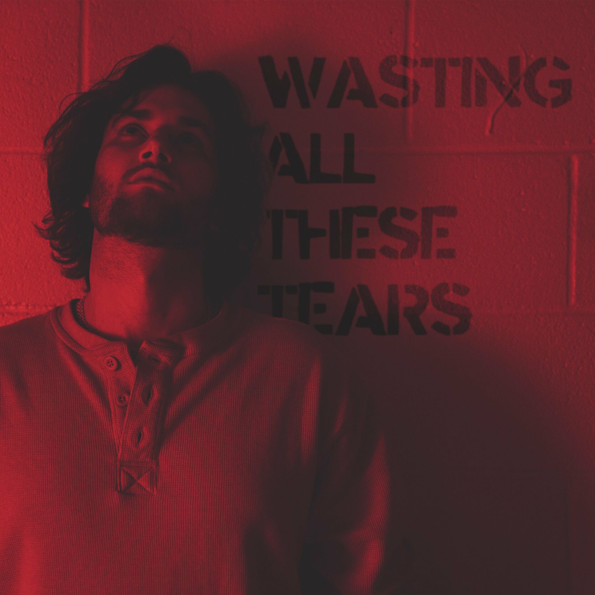 Album cover of Wasting All These Tears