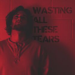 Cover of Wasting All These Tears
