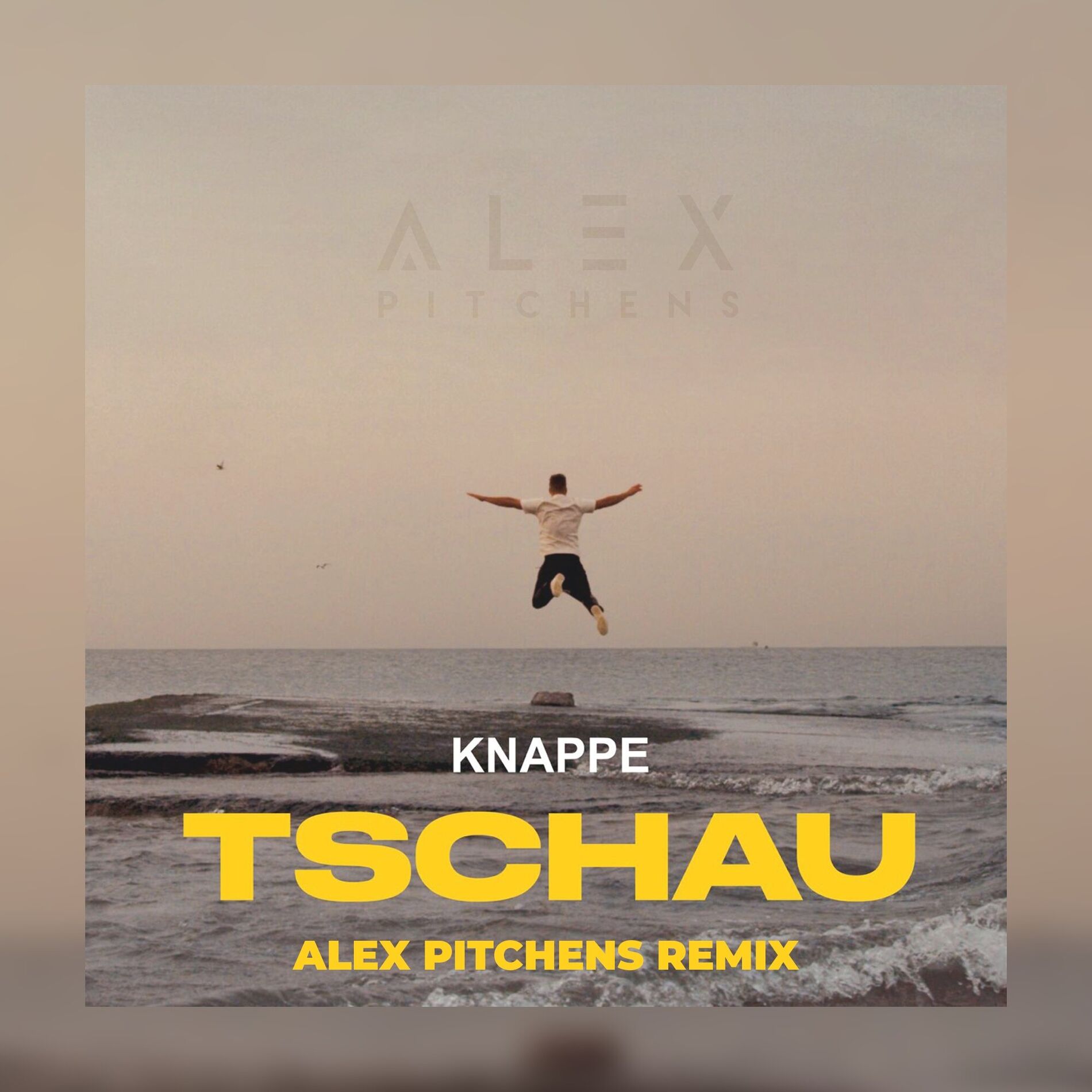 Album cover of Tschau (Alex Pitchens Remix)