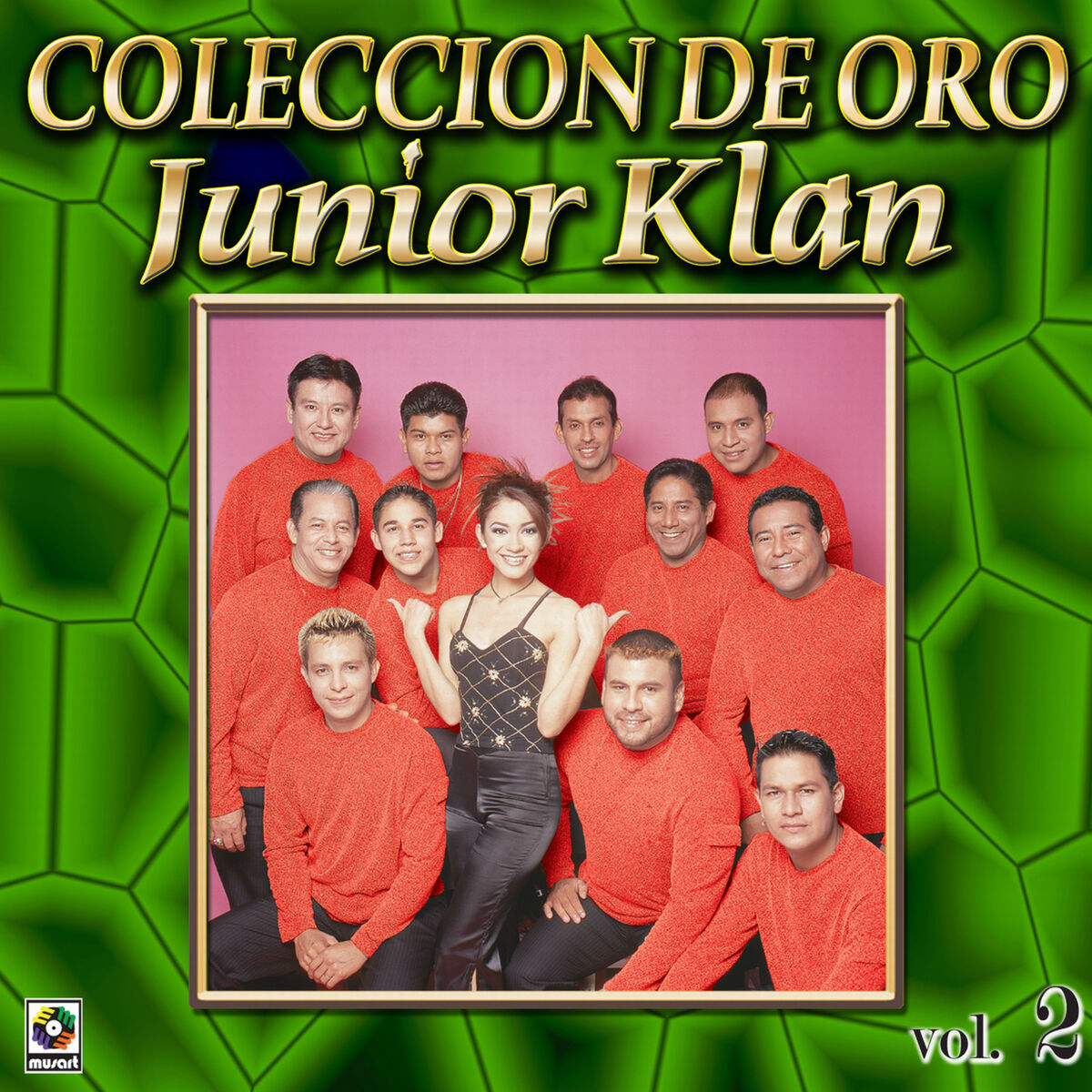 Album cover of Colección De Oro, Vol. 2