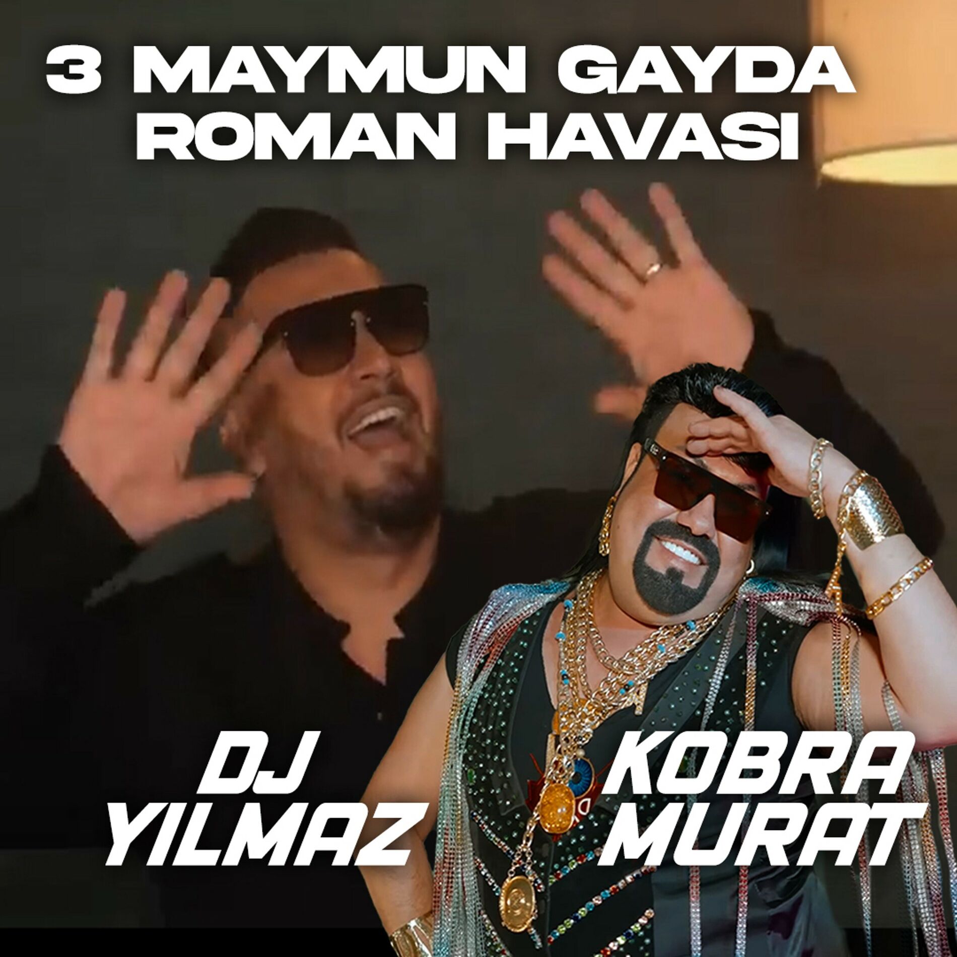 Album cover of 3 MAYMUN (Roman Havasi)