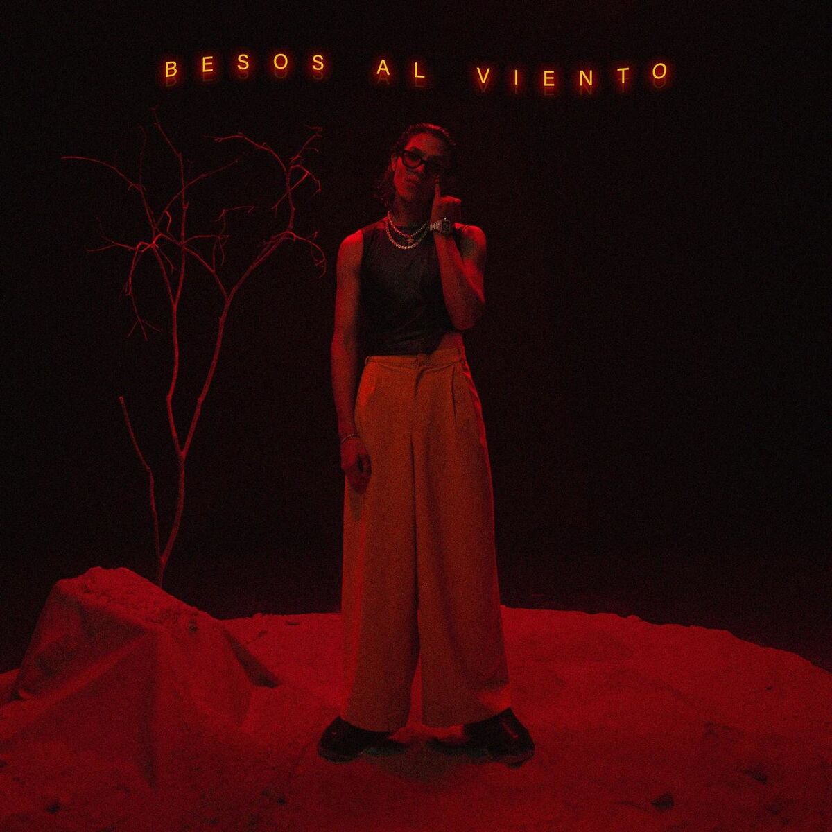 Album cover of BeSos aL vIEnTo :(