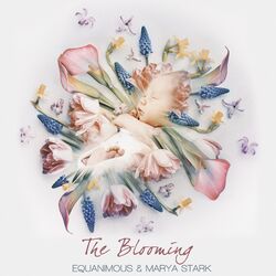 Cover of The Blooming