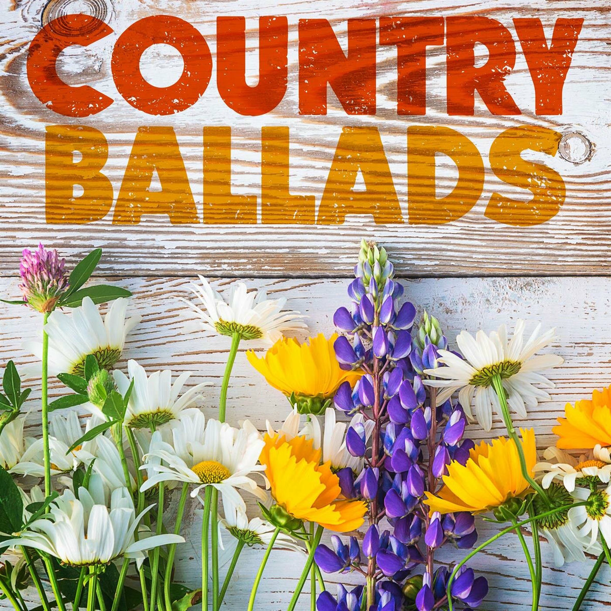 Album cover of Country Ballads
