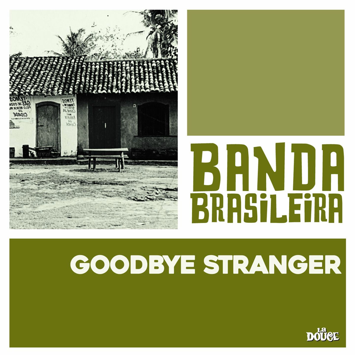 Album cover of Goodbye Stranger