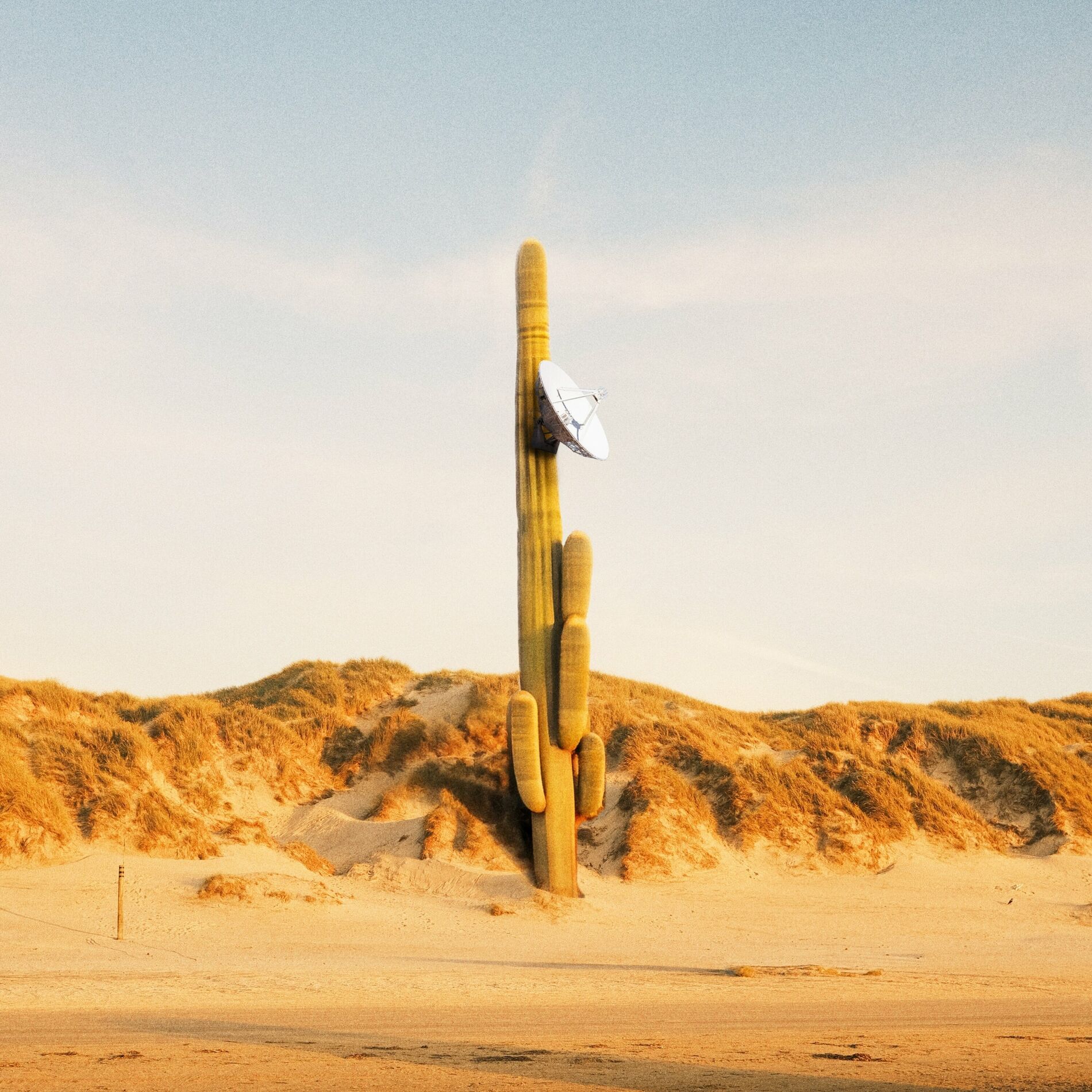 Album cover of Obstructed Signals