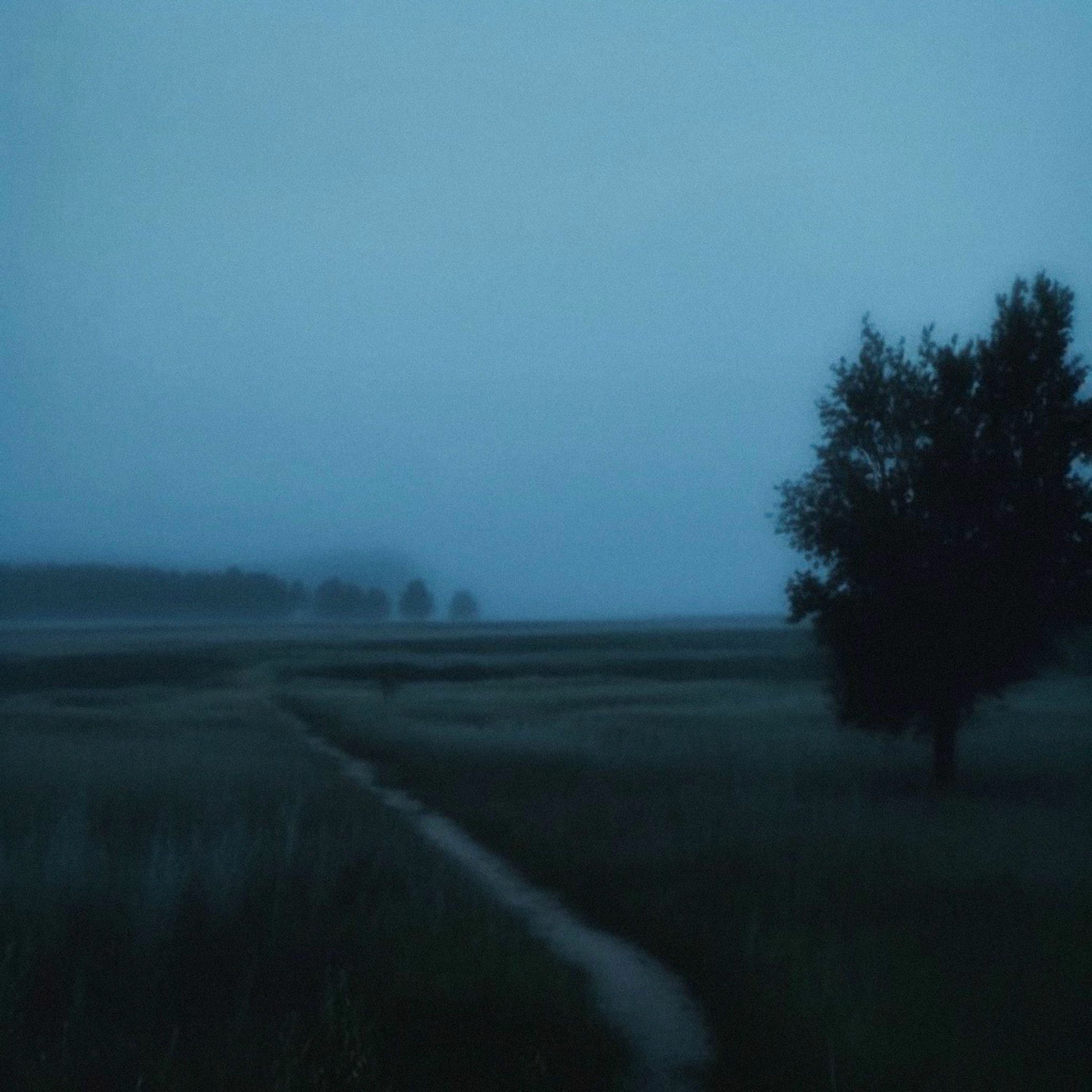Album cover of i keep writing letters i'll never send