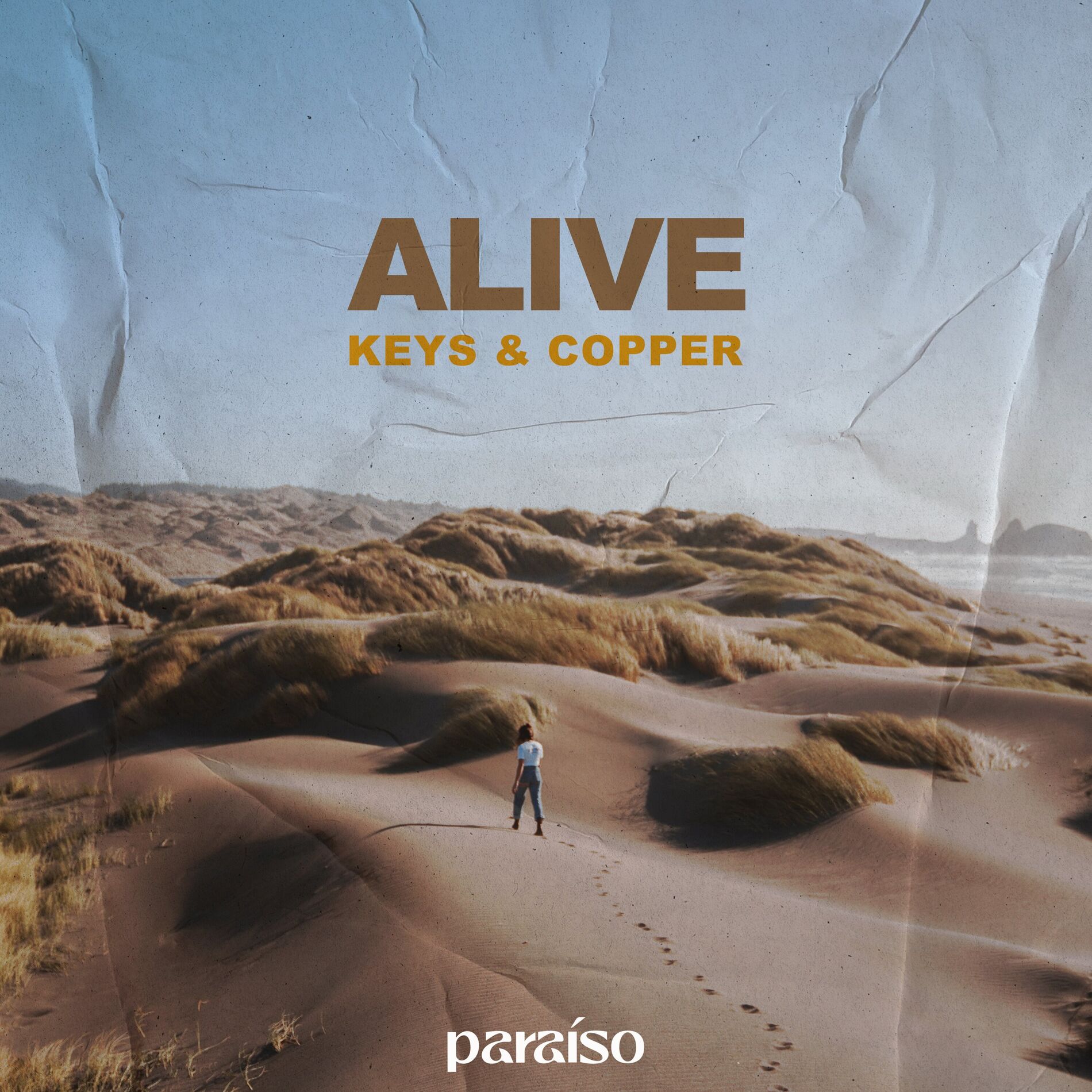 Album cover of Alive