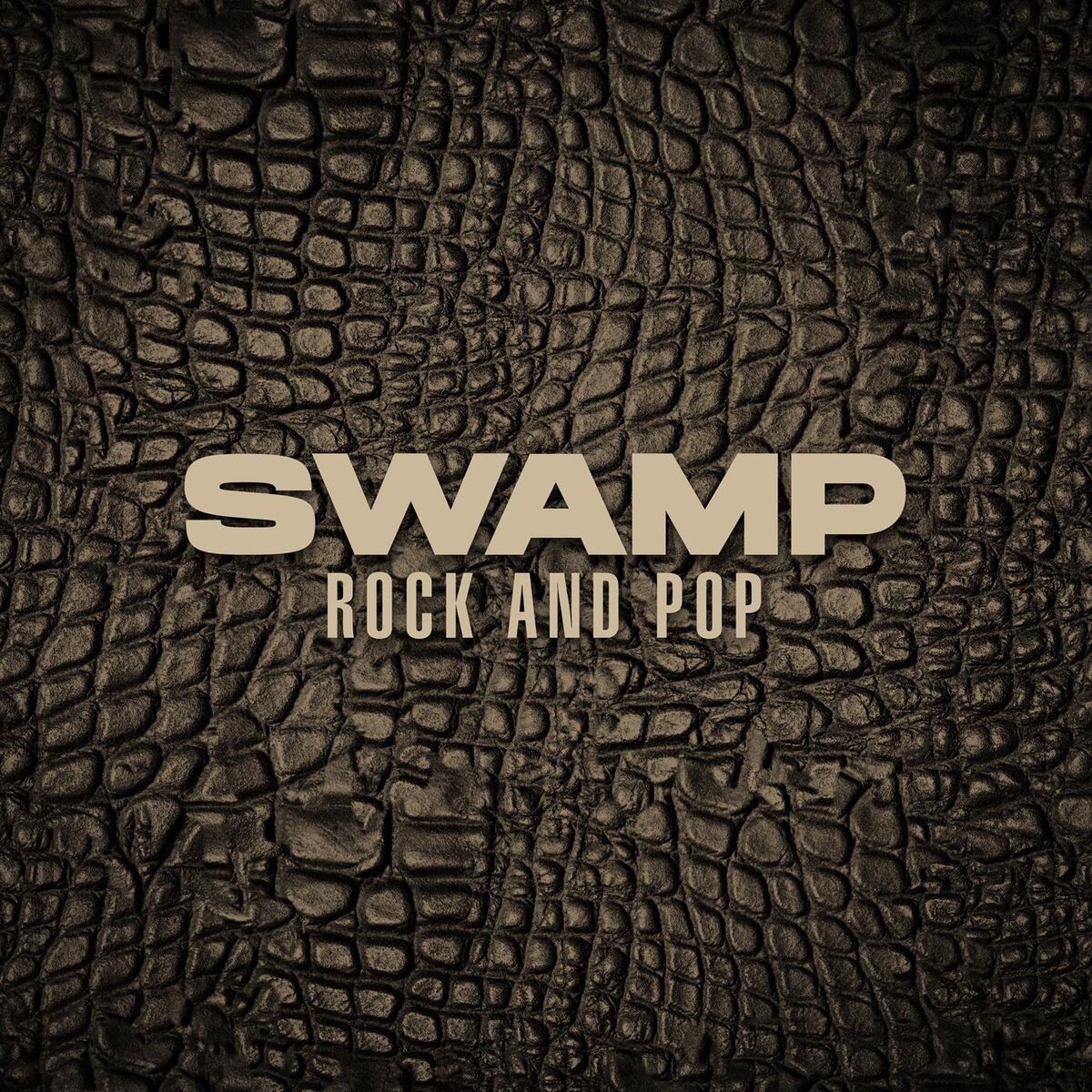 Album cover of Swamp Rock and Pop