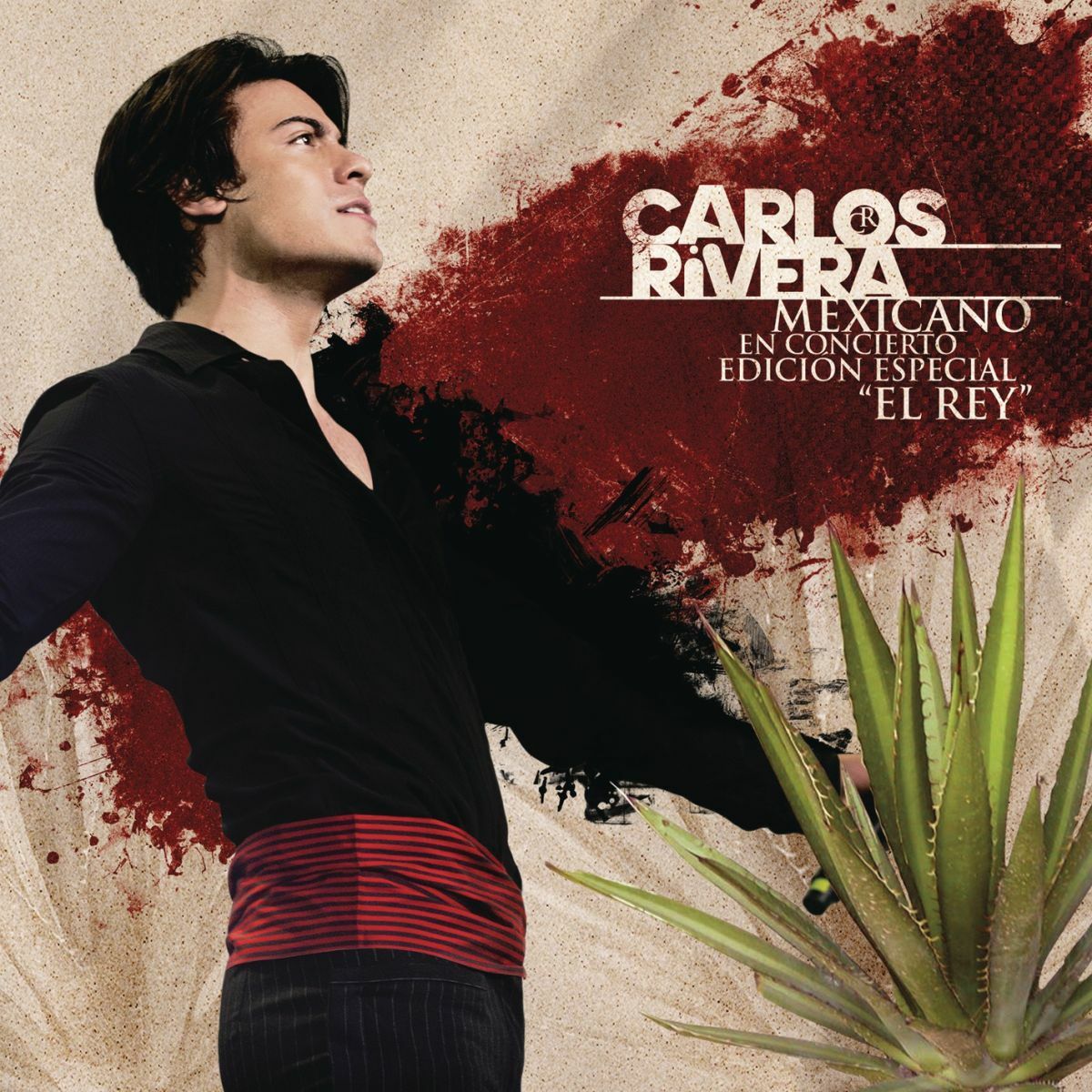 Album cover of La Malagueña