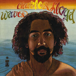 Cover of Waves
