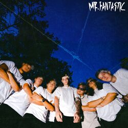 Cover of Mr. Fantastic