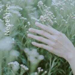 Nepenthe