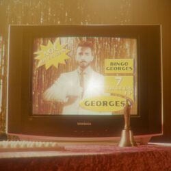 Cover of Bingo Georges