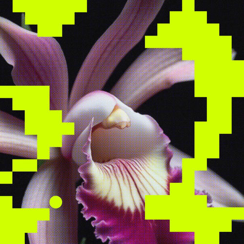  Milio - Erosie / Matter of Time (2025) 