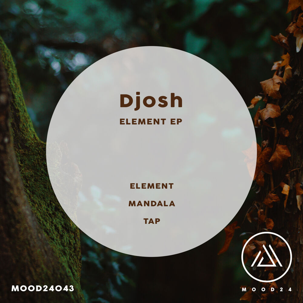 Picture of Element EP