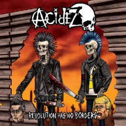 Cover of Revolution Has No Borders