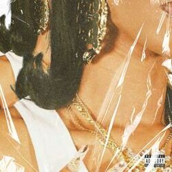 Cover of Bamboo Earrings