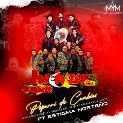 Cover of Popurrí De Cumbias: Sunguirungui / Las Animas Del Rio / Ordeñando La Vaca