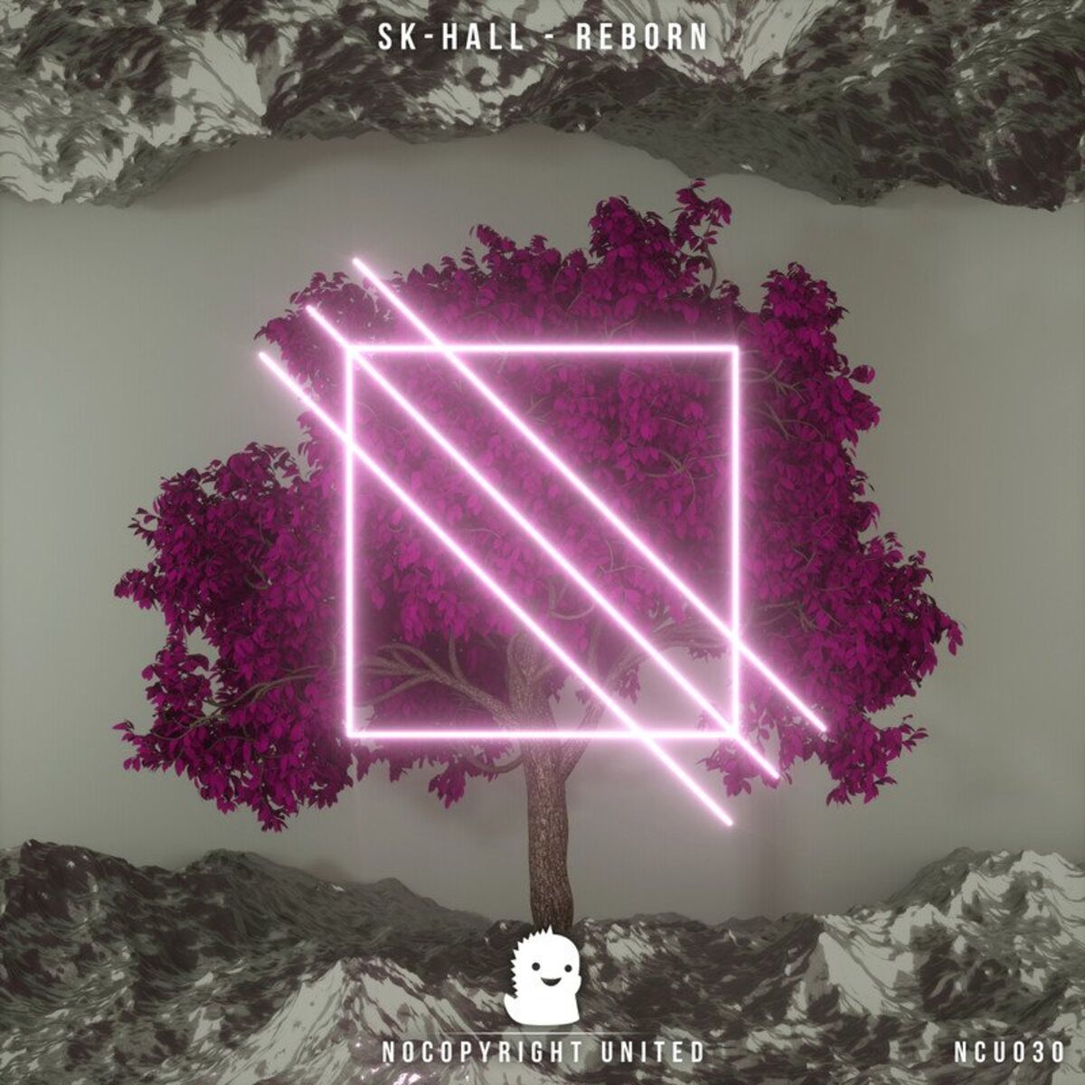 Album cover of Reborn