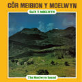 Sain Y Moelwyn / The Moelwyn Sound