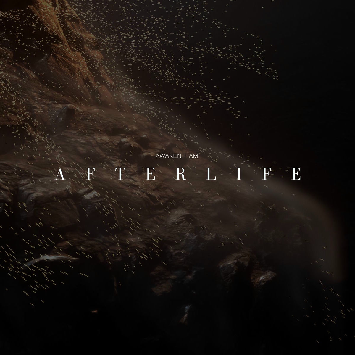Album cover of Afterlife