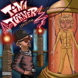 Cover of Tina Turner