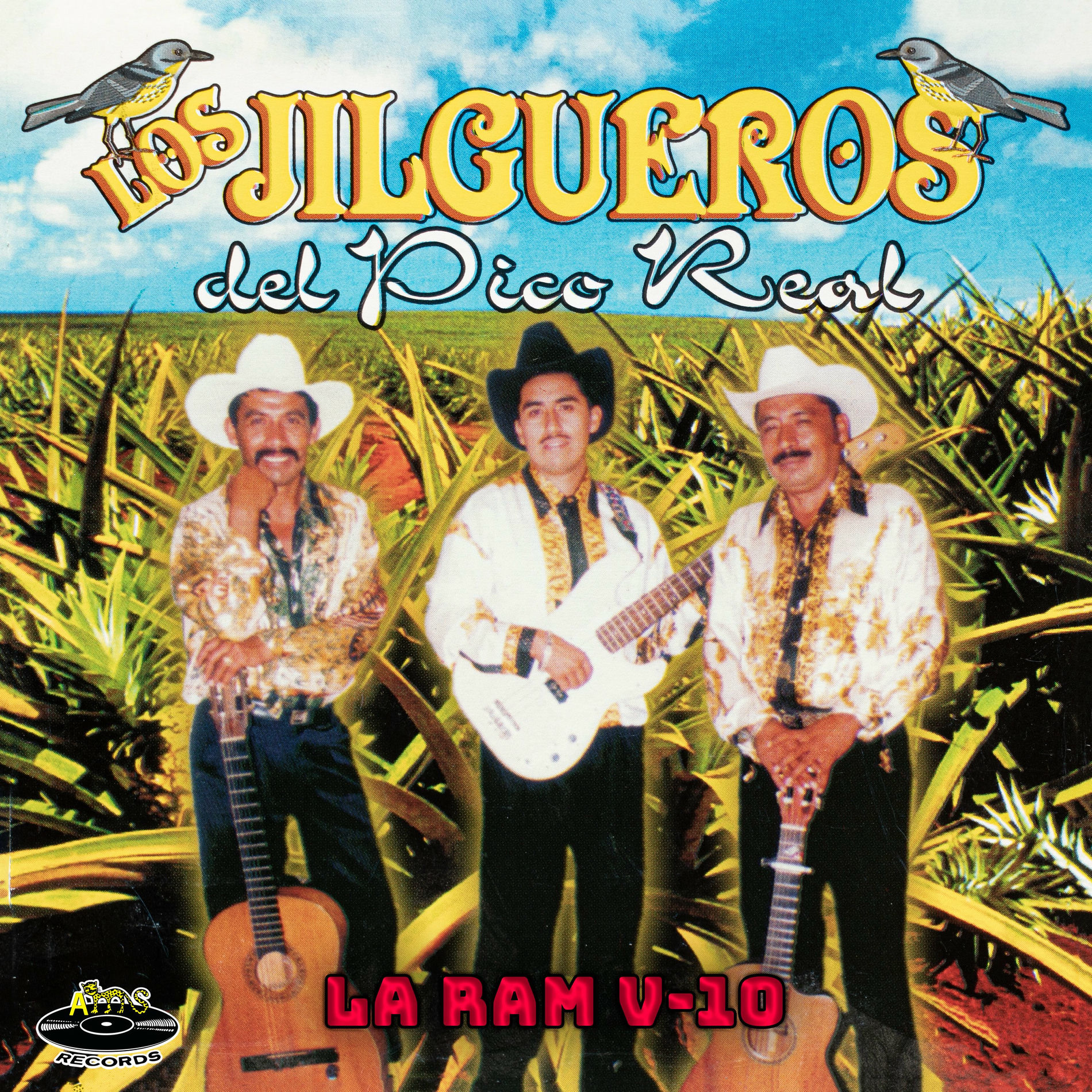 Album cover of La Ram V-10