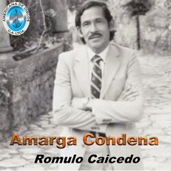Cover of Amarga Condena