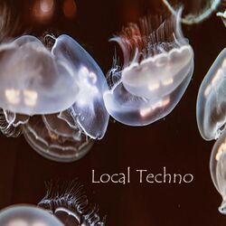Cover of Local Techno