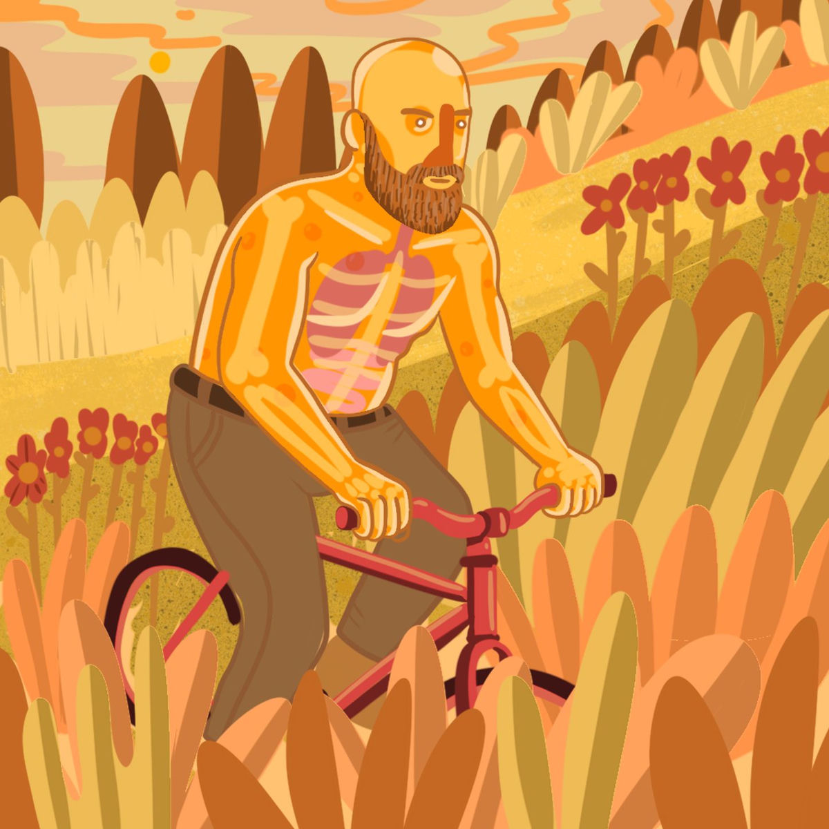 Album cover of Bicycle