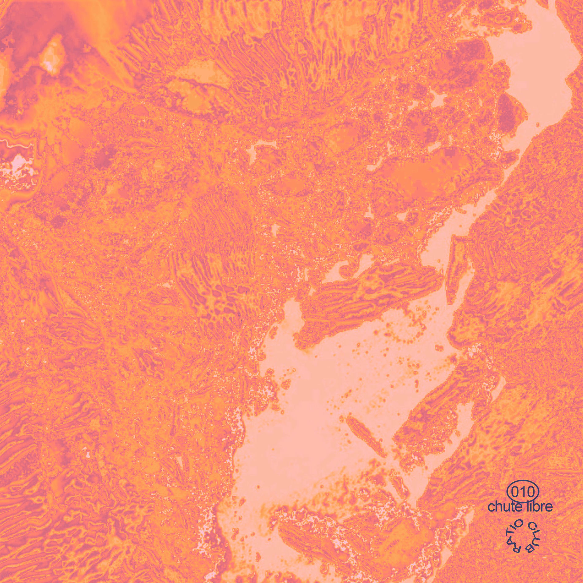 Album cover of Acid Limbo