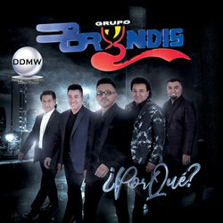 Cover of Por Qué?