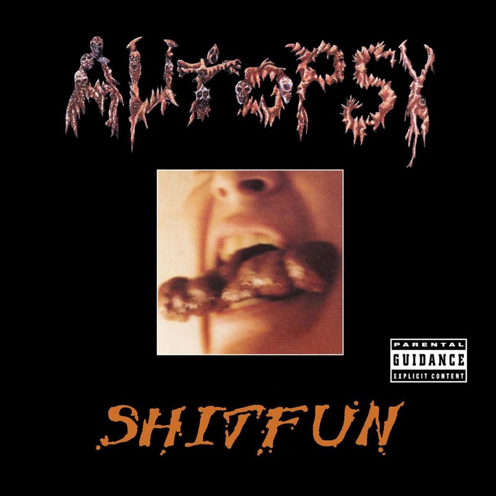 Picture of Shitfun