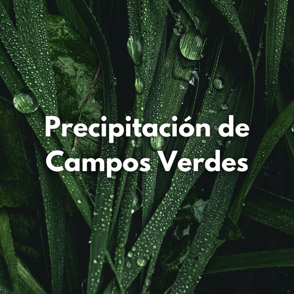Picture of Precipitación De Campos Verdes