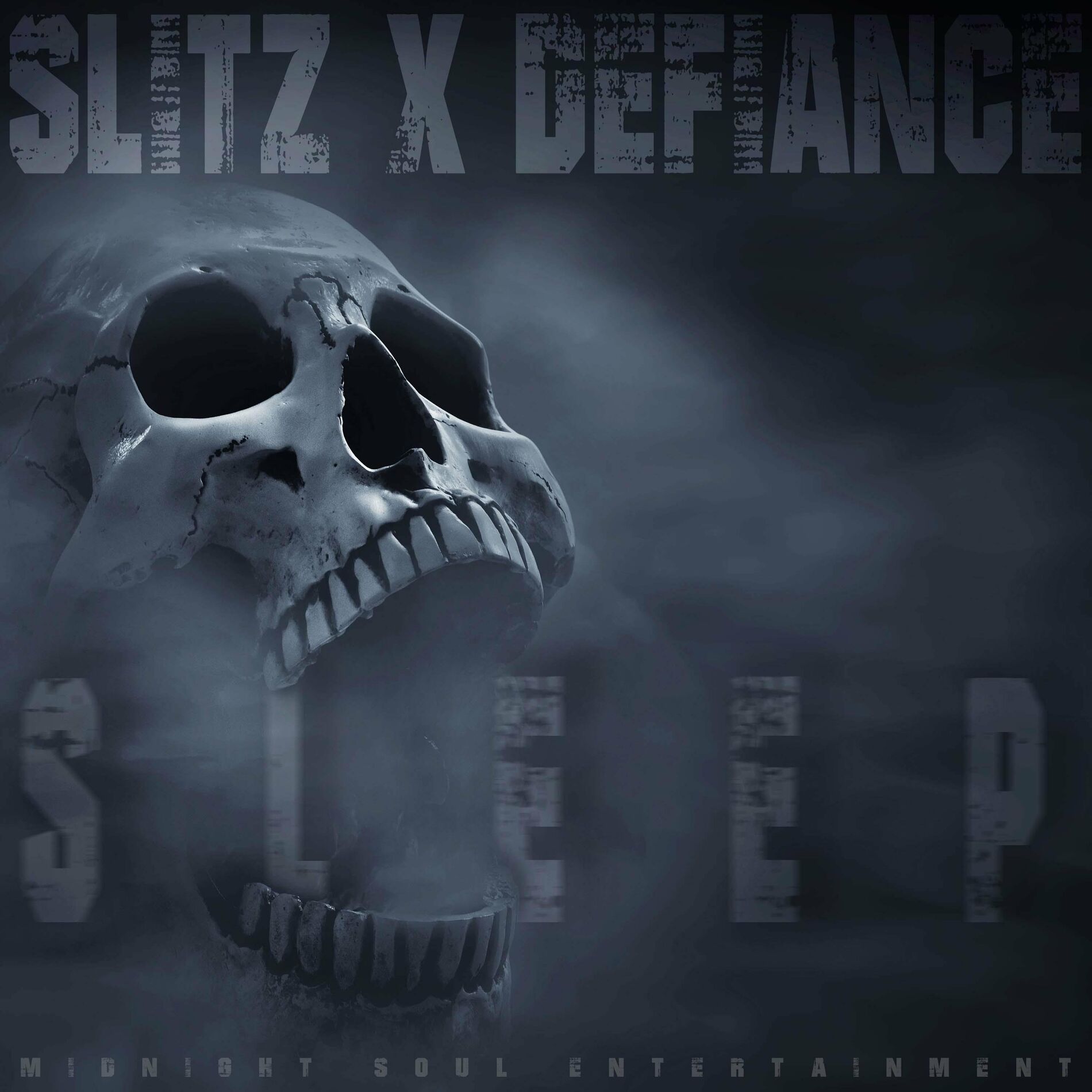 Album cover of Sleep