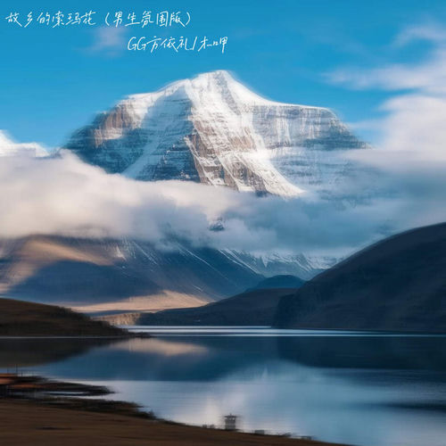 故乡的索玛花 (男生氛围版)