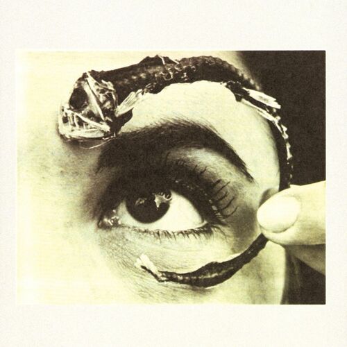 Mr. Bungle - Disco Volante | Deezer