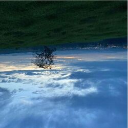 Cover of VIDA