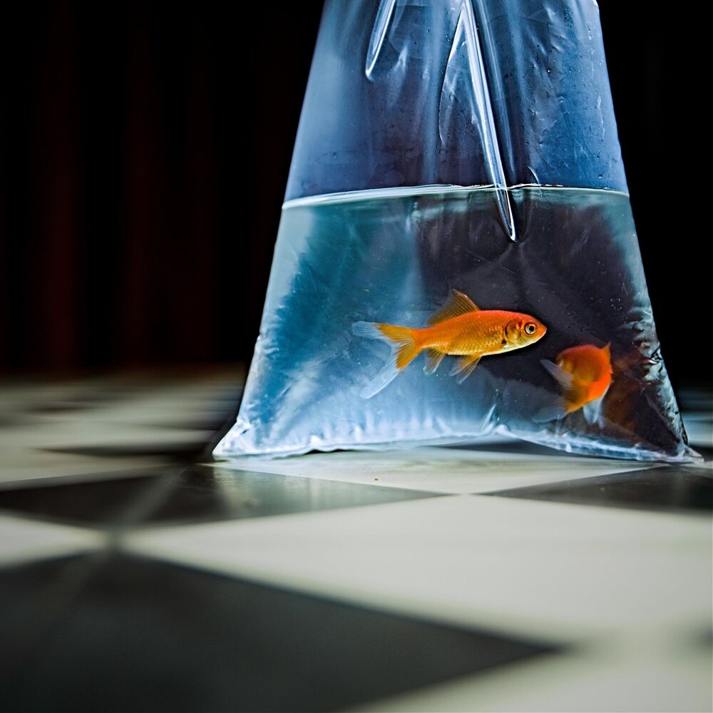 Picture of Catch a Tear