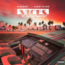 Cover of VICES