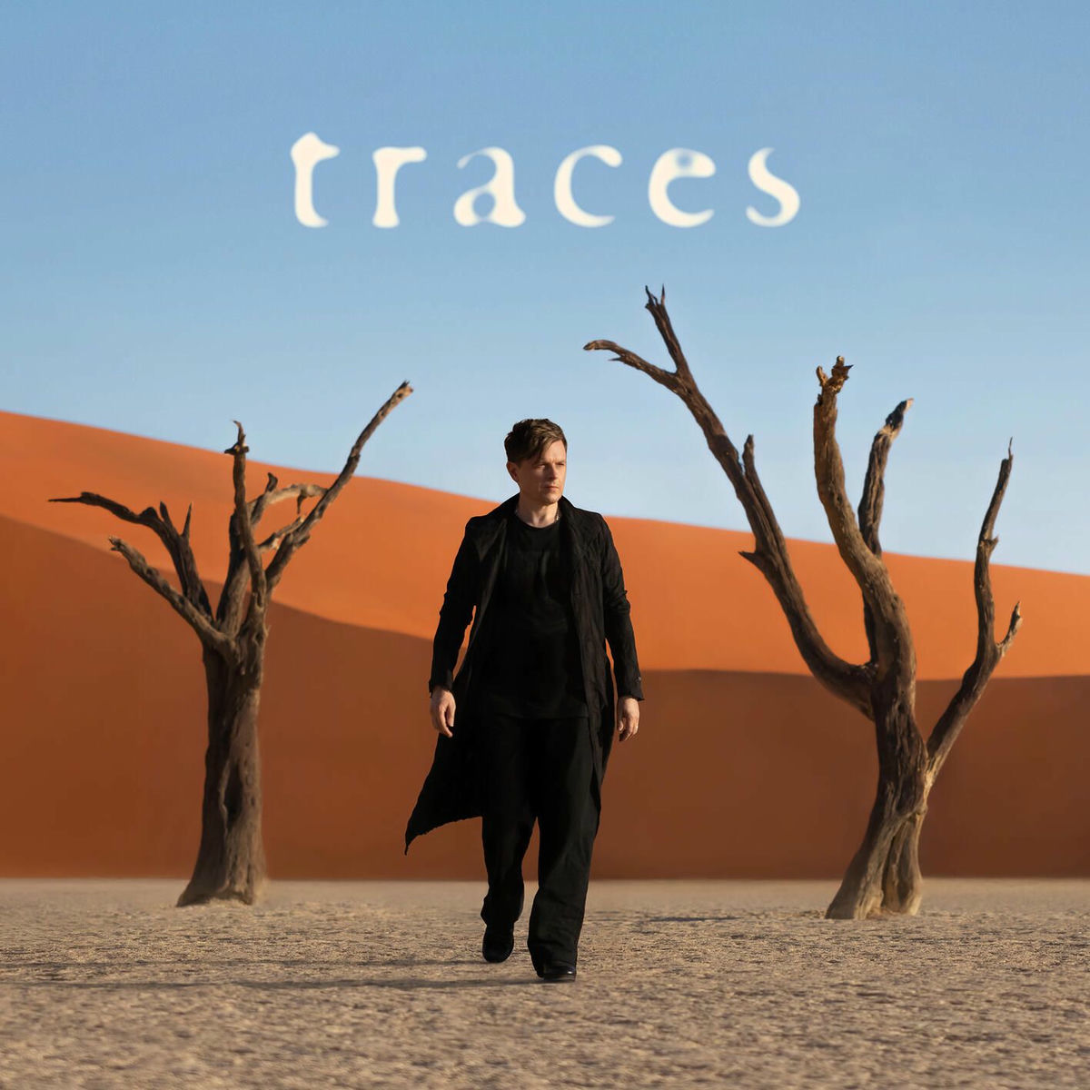 Album cover of Traces
