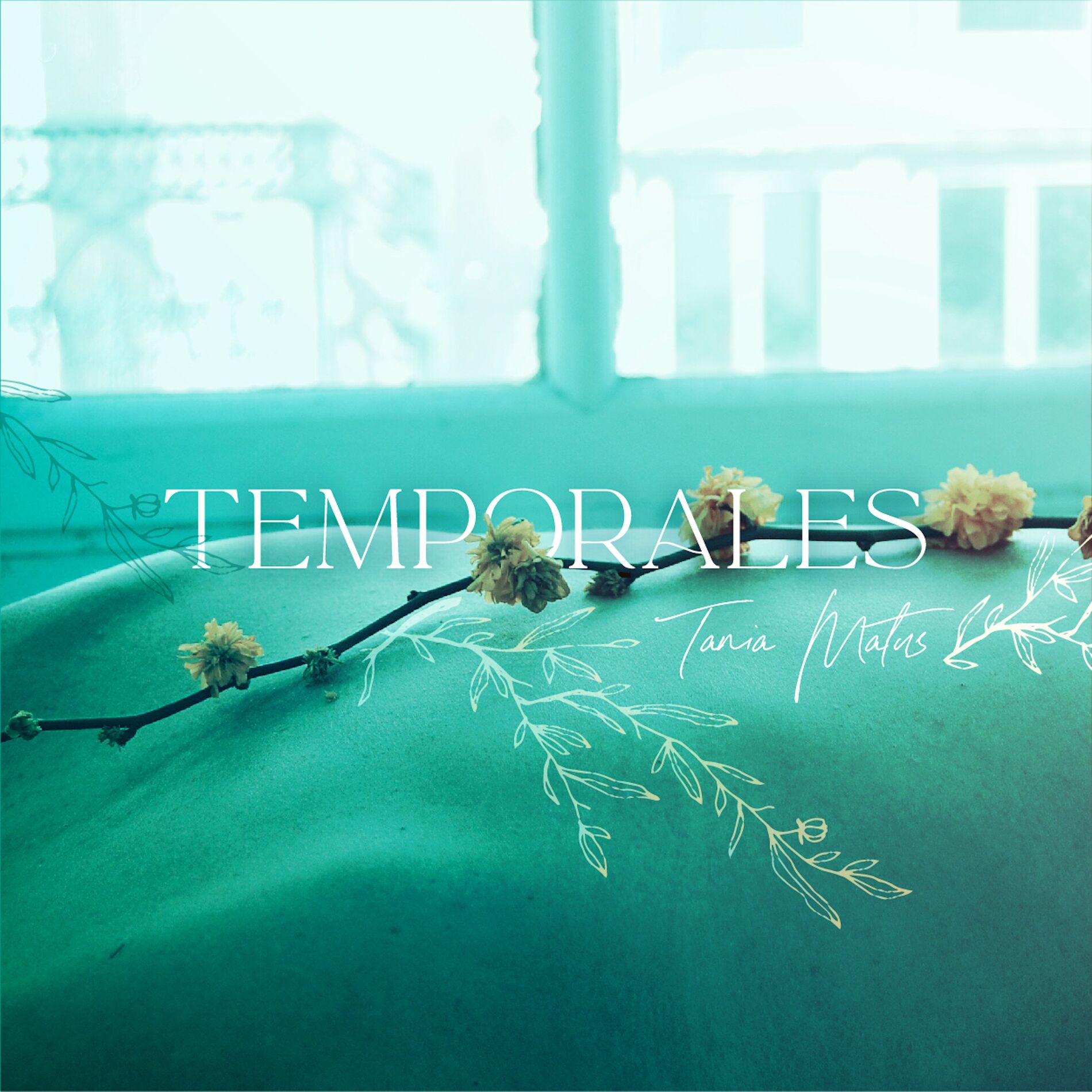 Album cover of Temporales
