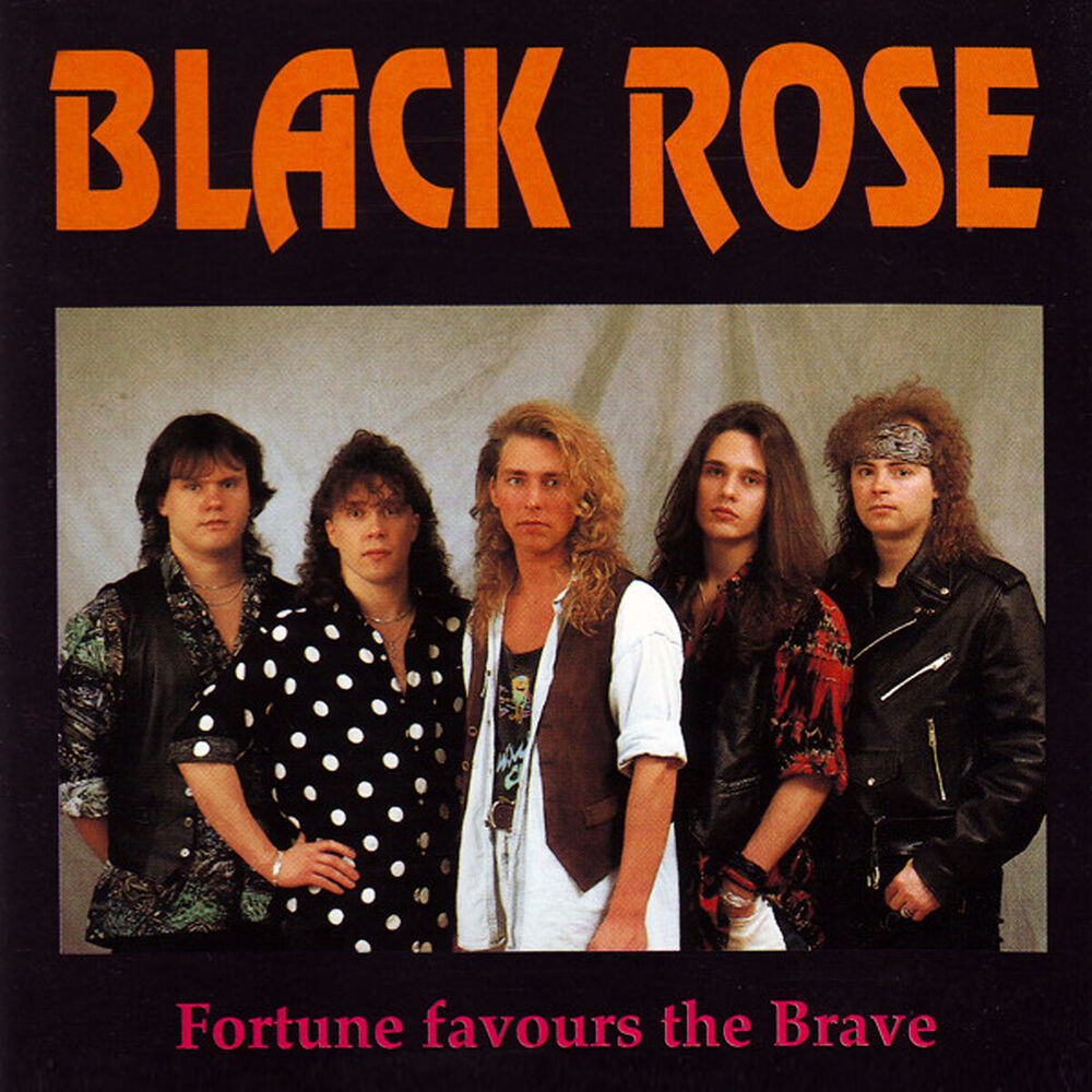 Picture of Fortune Favours the Brave