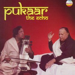 Cover of Pukaar: The Echo