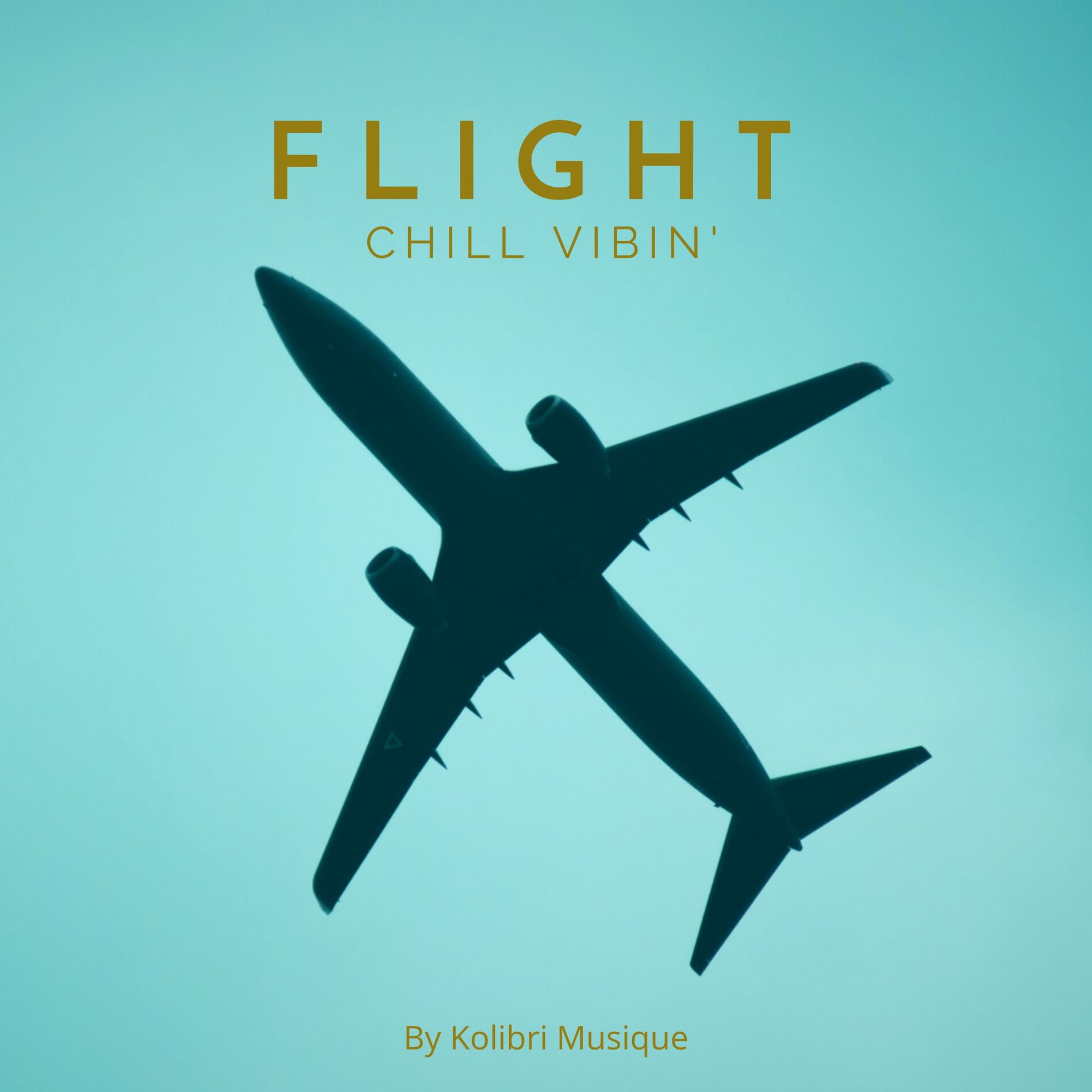 Album cover of Flight, Chill Vibin'
