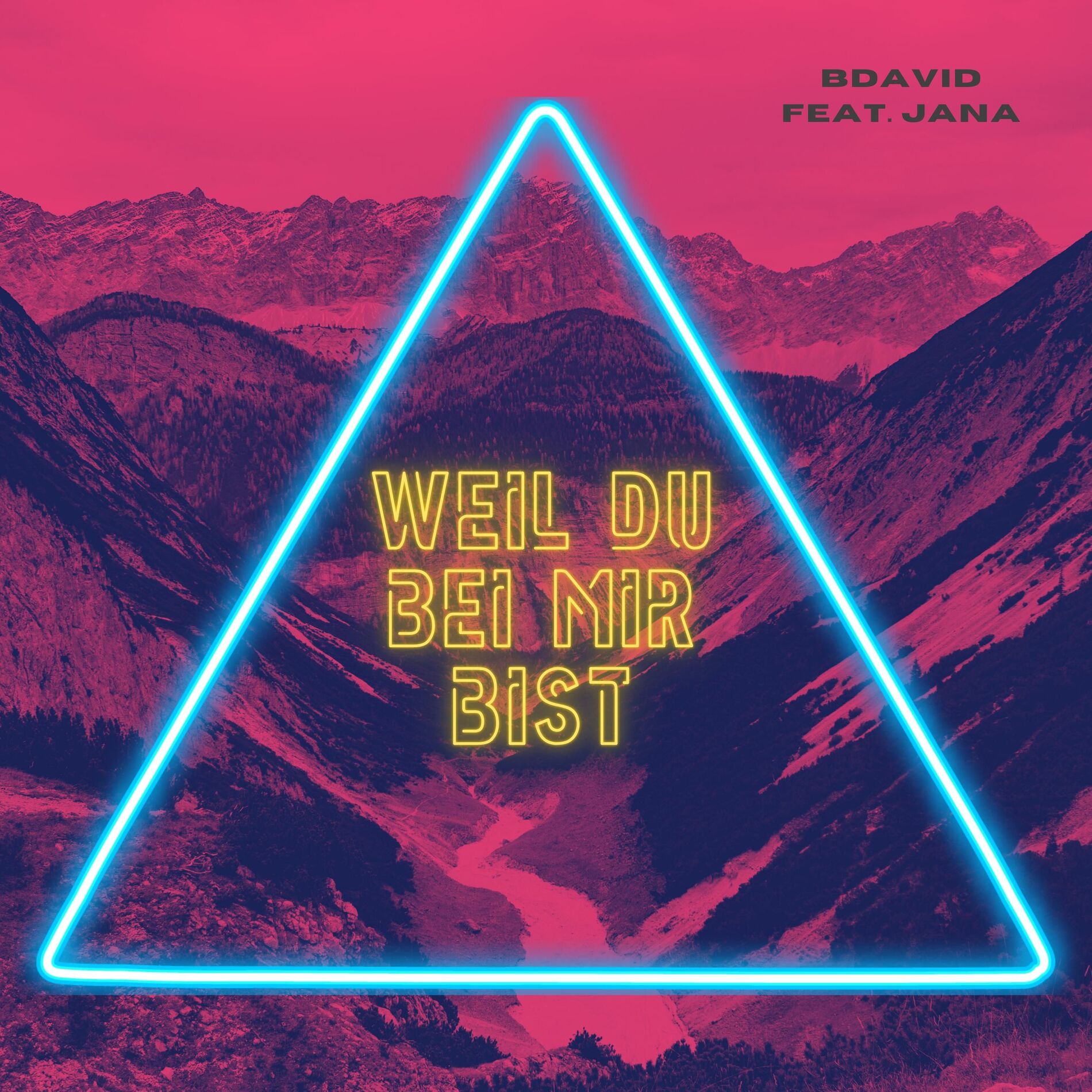 Album cover of Weil du bei mir bist (feat. Jana)
